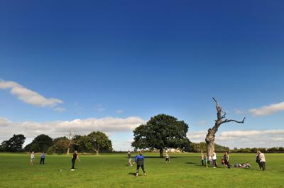 Rounders in the park